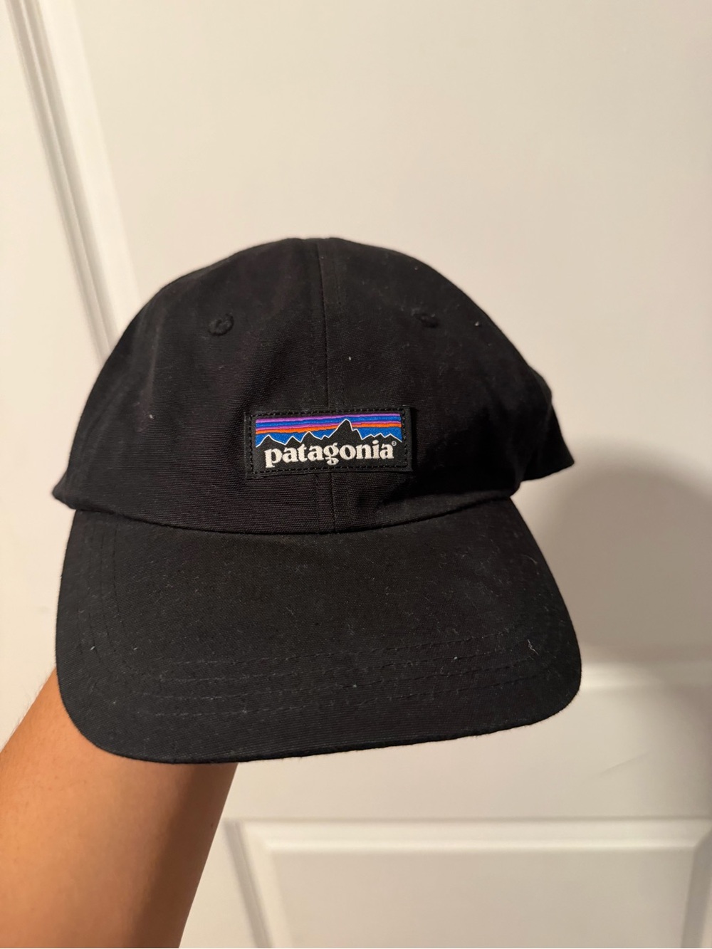 Patagonia Black Classic Logo Cap
